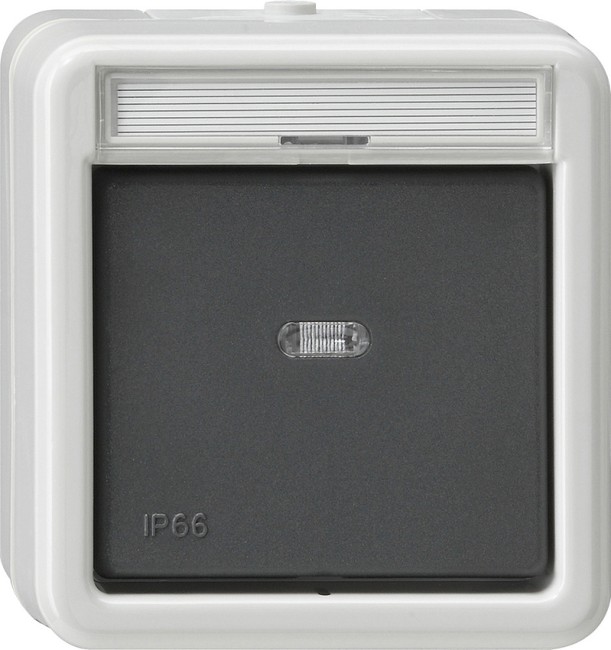 11231 - Gira Выключатель сподсветкой и полем для надписи 2-полюсный IP66, серия: WG AP IP20, IP44, IP66