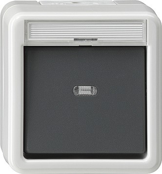 15230 - Gira Кнопочный выключатель с полем для надписи IP44, серия: WG AP IP20, IP44, IP66