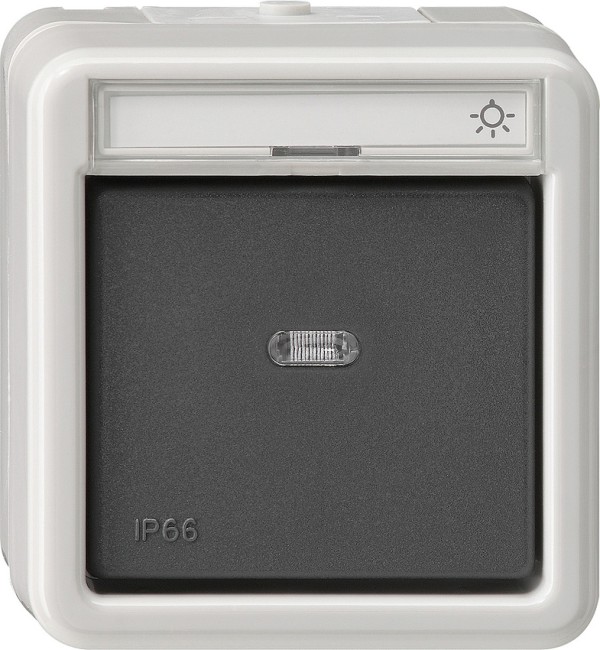 15631 - Gira Кнопочный выключатель одноклавишный IP66, серия: WG AP IP20, IP44, IP66