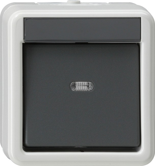 10230 - Gira Выключатель одноклавишный 2-полюсный. IP66, серия: WG AP IP20, IP44, IP66