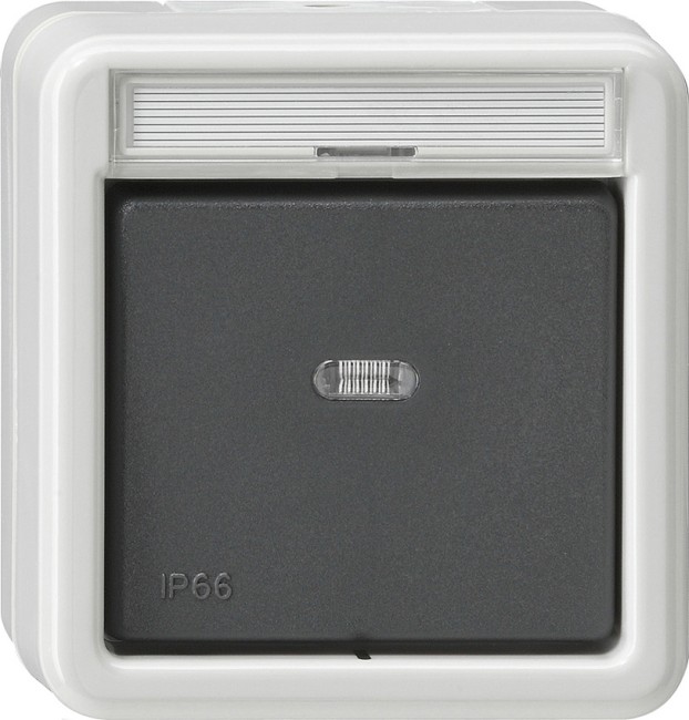 10231 - Gira Выключатель одноклавишный 2-полюсный. IP66, серия: WG AP IP20, IP44, IP66