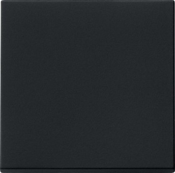 296005 - Gira System55 Клавиша на 1 пост, черная матовая