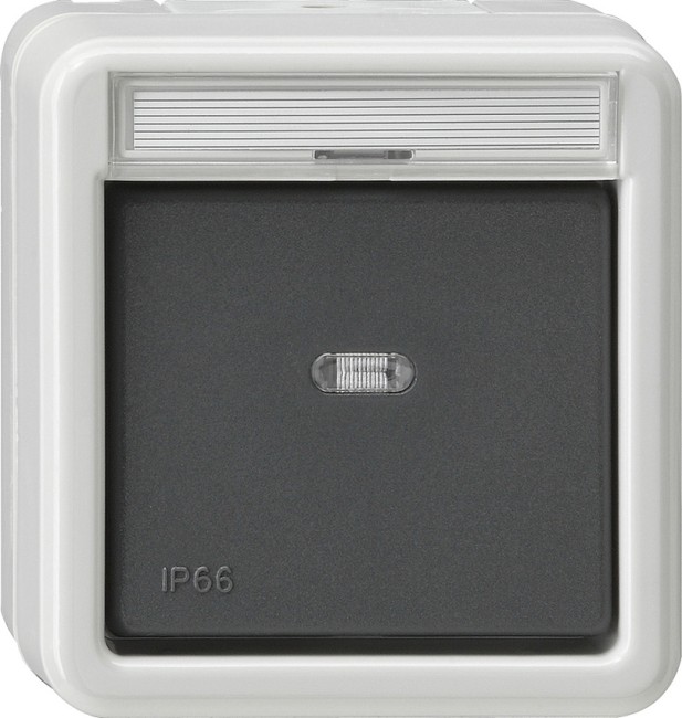 10631 - Gira Выключатель одноклавишный универсальный IP66, серия: WG AP IP20, IP44, IP66