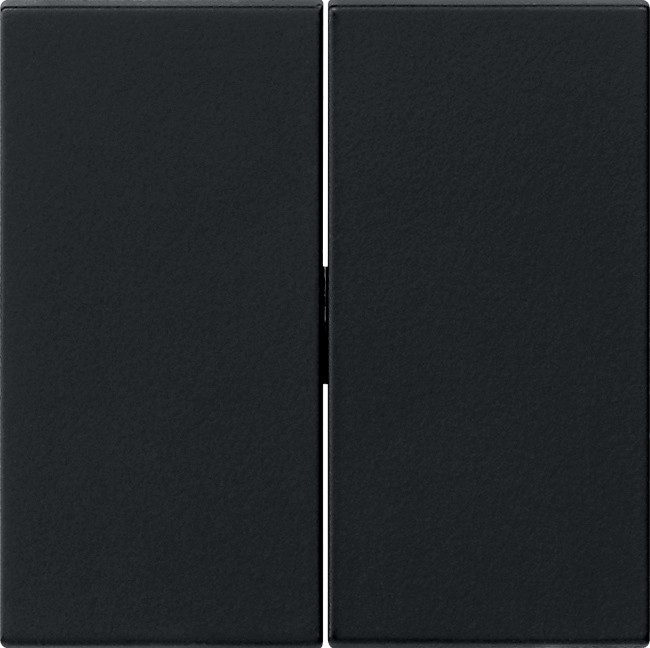 295005 - Gira System55 Клавиша на 2 поста, черная матовая