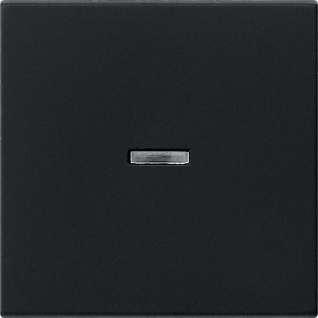 290005 - Gira System55 Клавиша с подсветкой, черная матовая