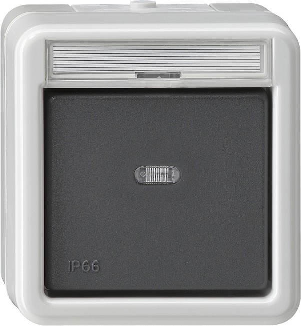 15231 - Gira Кнопочный выключатель с полем для надписи IP66, серия: WG AP IP20, IP44, IP66
