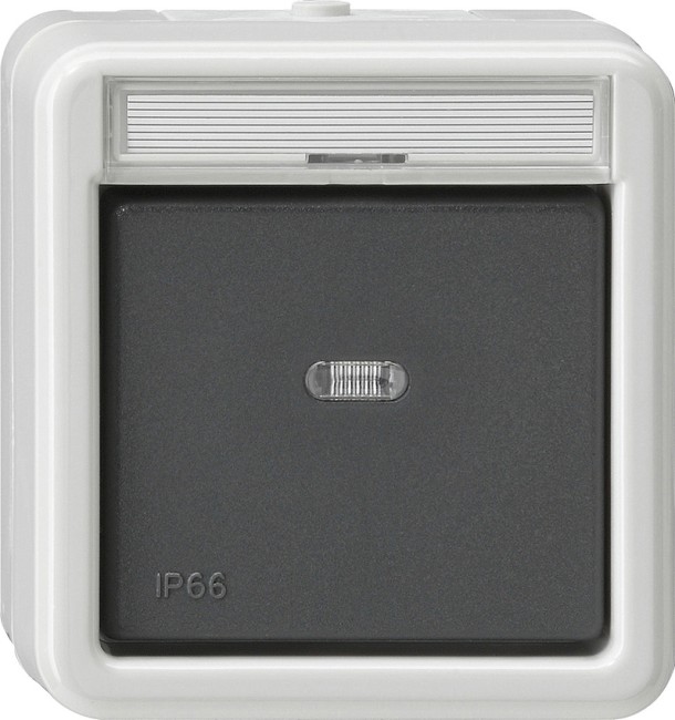 11631 - Gira Выключатель сподсветкой и полем для надписи универсальный IP66, серия: WG AP IP20, IP44, IP66
