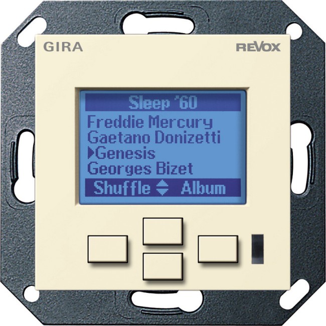 53901 - Gira Информационный дисплей М217