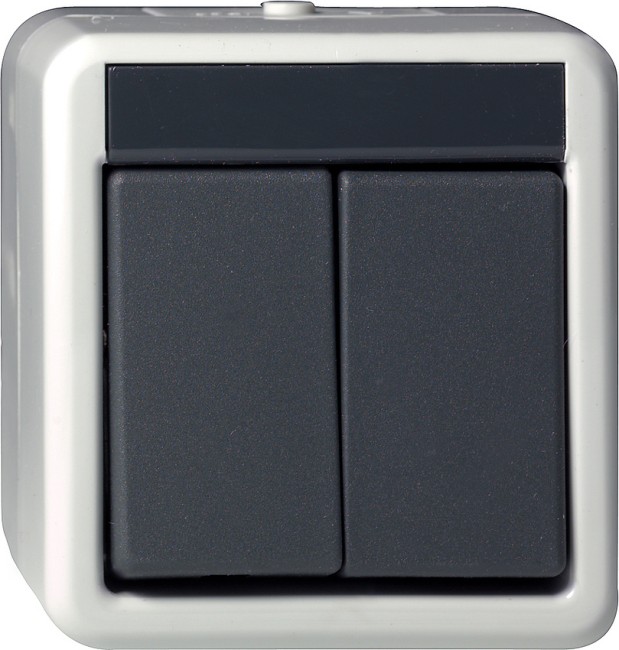 15530 - Gira Кнопочный выключатель двуклавишный IP44, серия: WG AP IP20, IP44, IP66