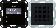 2280005 - Gira System55 Радиоприемник скрытого монтажа с функцией RDS, черный матовый