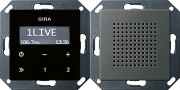 2280600 - Gira System55 Радиоприемник скрытого монтажа с функцией RDS, сталь