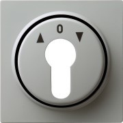 66442 - Gira Накладка выключателя с ключом серый